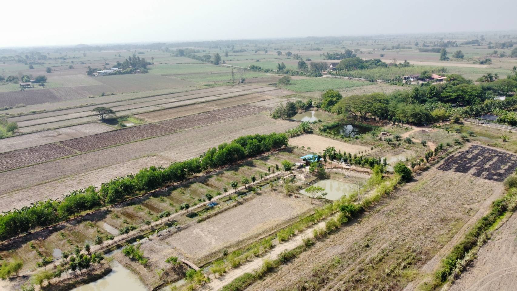 รองผู้ว่าราชการจังหวัดสุโขทัย พร้อมด้วยนางสาววริศรา โสภาค ผู้ตรวจราชการกรมการพัฒนาชุมชนเขตตรวจราชการที่ 17 กลุ่มจังหวัดภาคเหนือตอนล่าง 1 ลงพื้นที่ตรวจราชการจังหวัดสุโขทัย