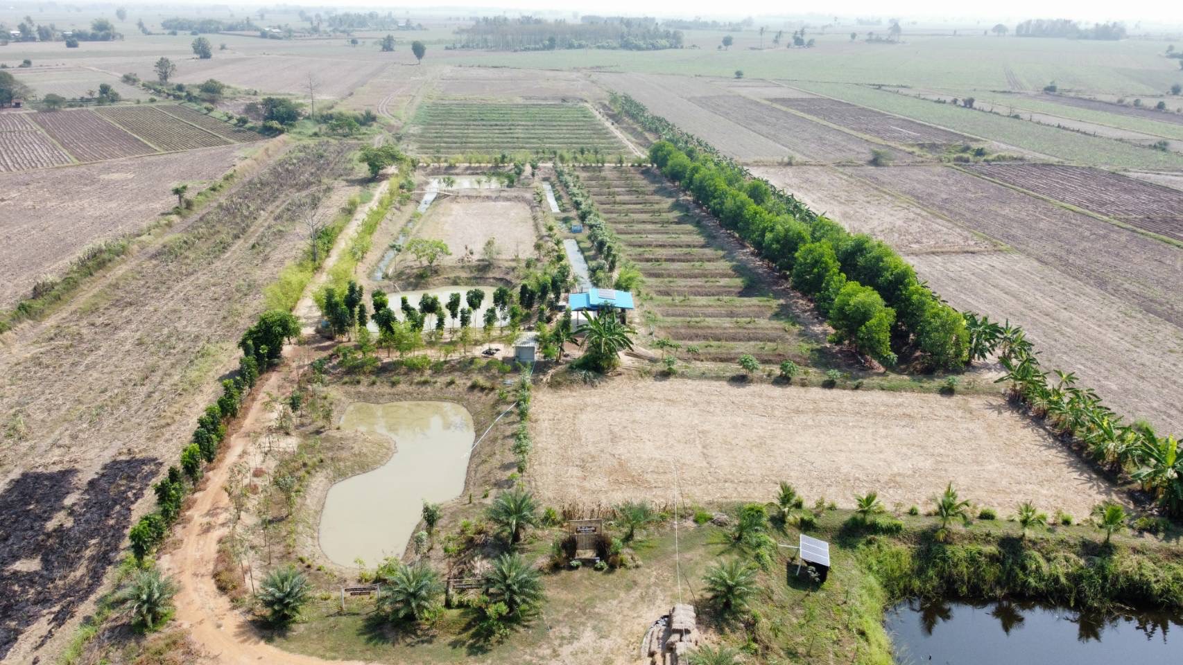 รองผู้ว่าราชการจังหวัดสุโขทัย พร้อมด้วยนางสาววริศรา โสภาค ผู้ตรวจราชการกรมการพัฒนาชุมชนเขตตรวจราชการที่ 17 กลุ่มจังหวัดภาคเหนือตอนล่าง 1 ลงพื้นที่ตรวจราชการจังหวัดสุโขทัย