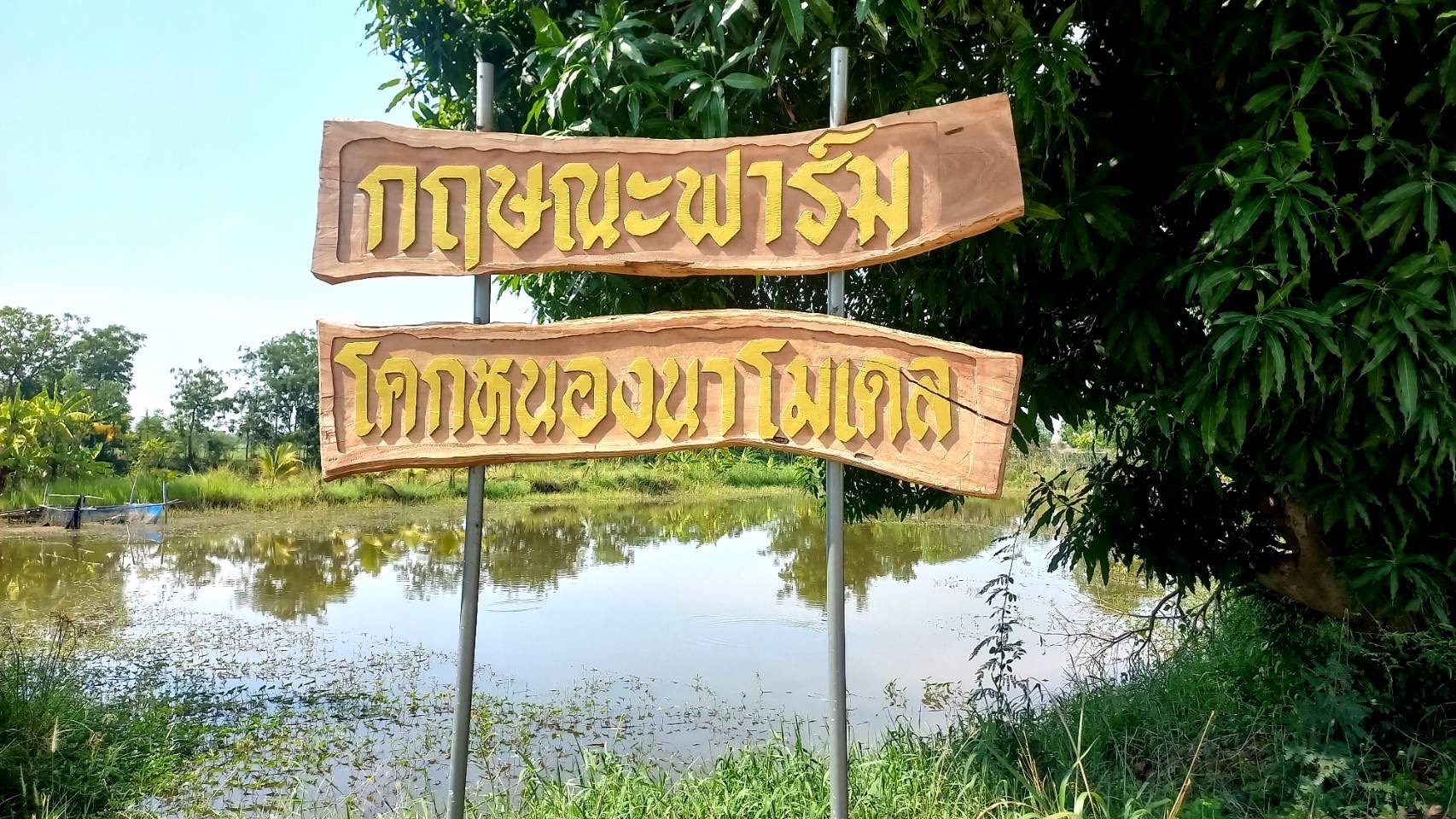 🌈ผู้ตรวจราชการ กรมการพัฒนาชุมชน เขตตรวจราชการที่ 17 ลงพื้นที่ศูนย์เรียนรู้ชุมชนต้นแบบฯ ที่ได้รับงบประมาณในการพัฒนาต่อยอดสู่การเป็นโคก หนอง นา อารยเกษตร จังหวัดสุโขทัย