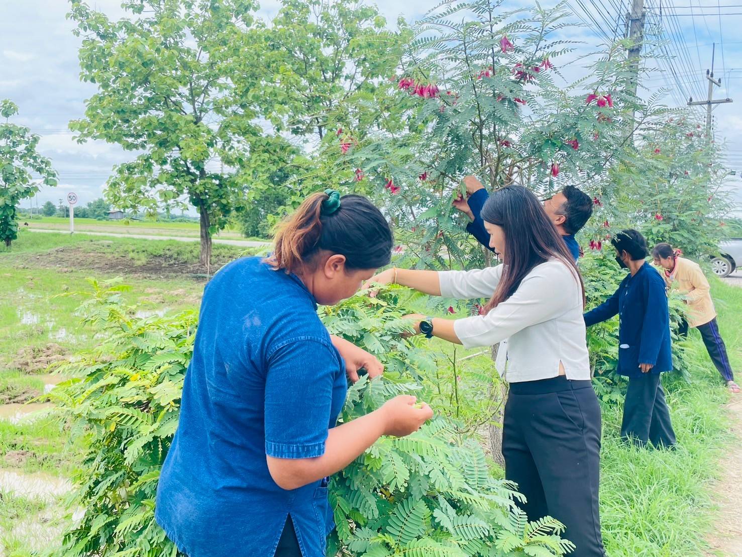 ลงพื้นที่ติดตาม การดำเนินงานการน้อมนำพระราชดำริสมเด็จพระกนิษฐาธิราชเจ้า กรมสมเด็จพระเทพรัตนราชสุดาฯ สยามบรมราชกุมารี สู่ปฏิบัติการปลูกผักสวนครัว เพื่อสร้างความมั่นคงทางอาหาร กิจกรรม “บ้านนี้มีรัก ปลูกผักกินเอง” และ “ทางนี้มีผล ผู้คนรักกัน”