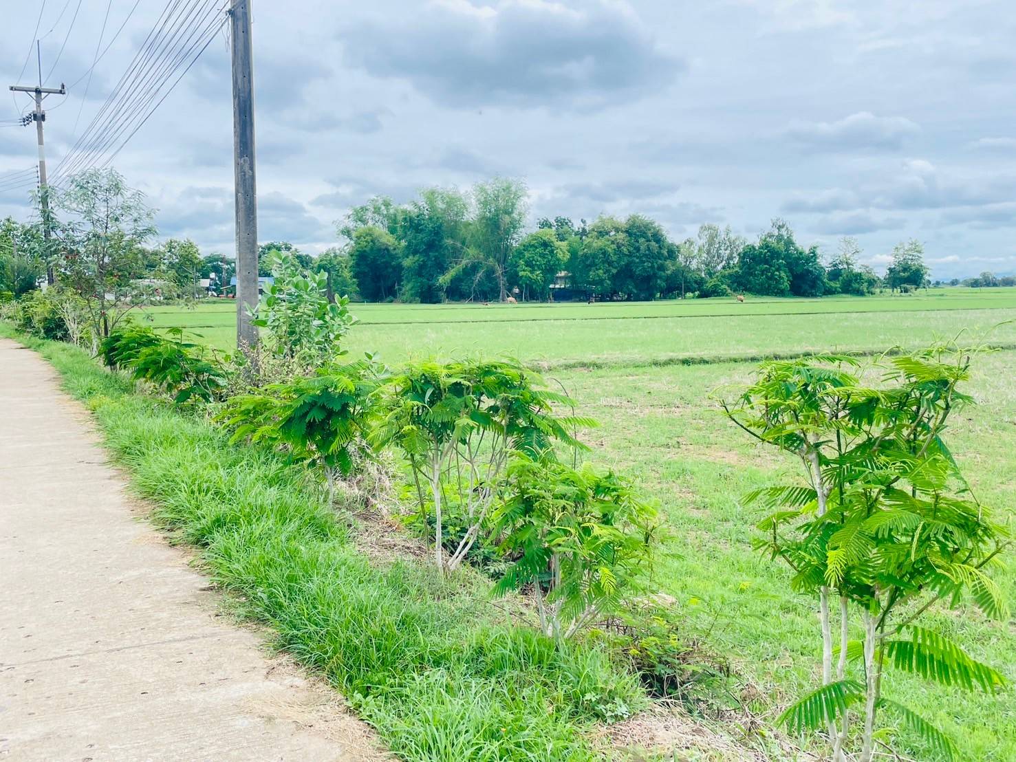 ลงพื้นที่ติดตาม การดำเนินงานการน้อมนำพระราชดำริสมเด็จพระกนิษฐาธิราชเจ้า กรมสมเด็จพระเทพรัตนราชสุดาฯ สยามบรมราชกุมารี สู่ปฏิบัติการปลูกผักสวนครัว เพื่อสร้างความมั่นคงทางอาหาร กิจกรรม “บ้านนี้มีรัก ปลูกผักกินเอง” และ “ทางนี้มีผล ผู้คนรักกัน”