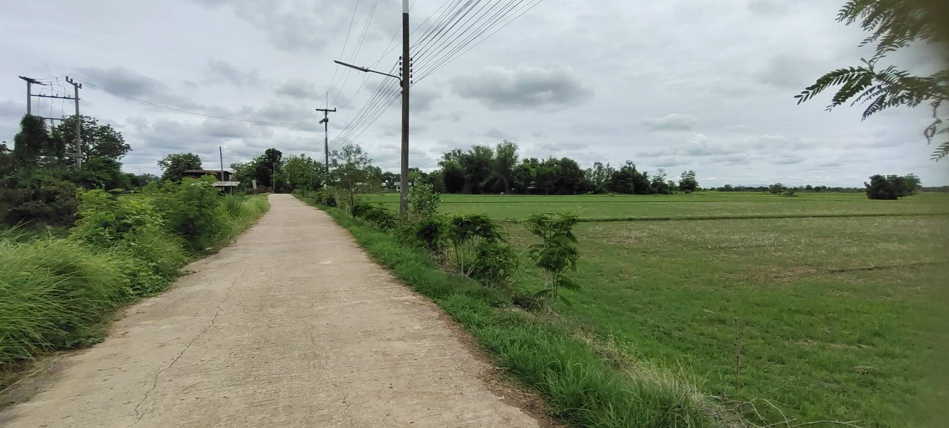 ลงพื้นที่ติดตาม การดำเนินงานการน้อมนำพระราชดำริสมเด็จพระกนิษฐาธิราชเจ้า กรมสมเด็จพระเทพรัตนราชสุดาฯ สยามบรมราชกุมารี สู่ปฏิบัติการปลูกผักสวนครัว เพื่อสร้างความมั่นคงทางอาหาร กิจกรรม “บ้านนี้มีรัก ปลูกผักกินเอง” และ “ทางนี้มีผล ผู้คนรักกัน”