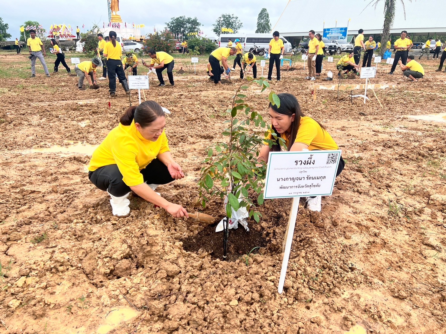 พช.สุโขทัย ร่วมกิจกรรมปลูกต้นไม้ โครงการ 72 ล้านต้น พลิกฟื้นผืนป่า เฉลิมพระเกียรติ พระบาทสมเด็จพระเจ้าอยู่หัว เนื่องในโอกาสพระราชพิธีมหามงคลเฉลิมพระชนมพรรษา 6 รอบ 28 กรกฎาคม 2567