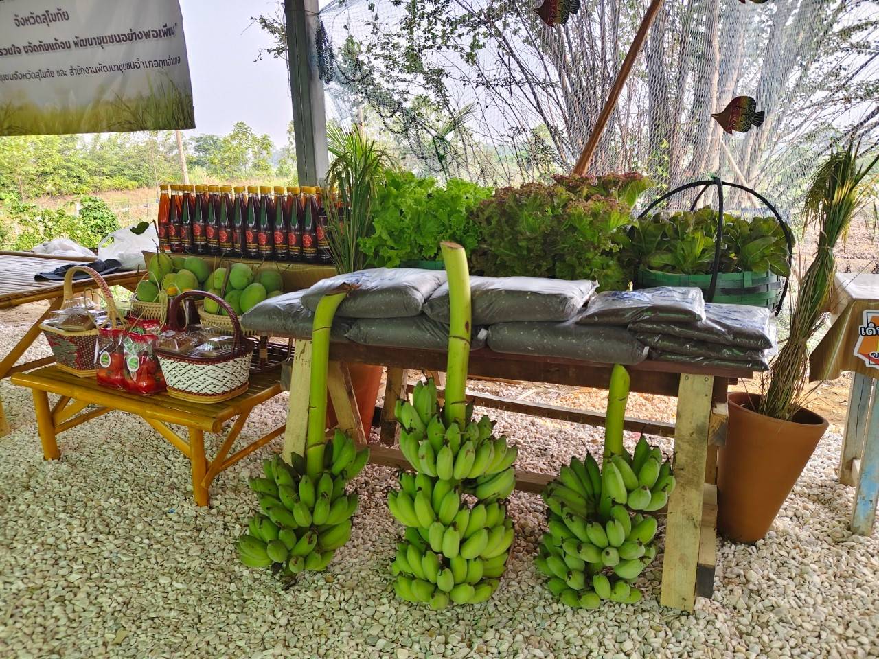 กิจกรรม ผู้นำอาสาพัฒนาชุมชนสัญจร จังหวัดสุโขทัย ภายใต้แนวคิด “อช.รวมใจ ขจัดภัยแก้จน พัฒนาชุมชนอย่างพอเพียง”