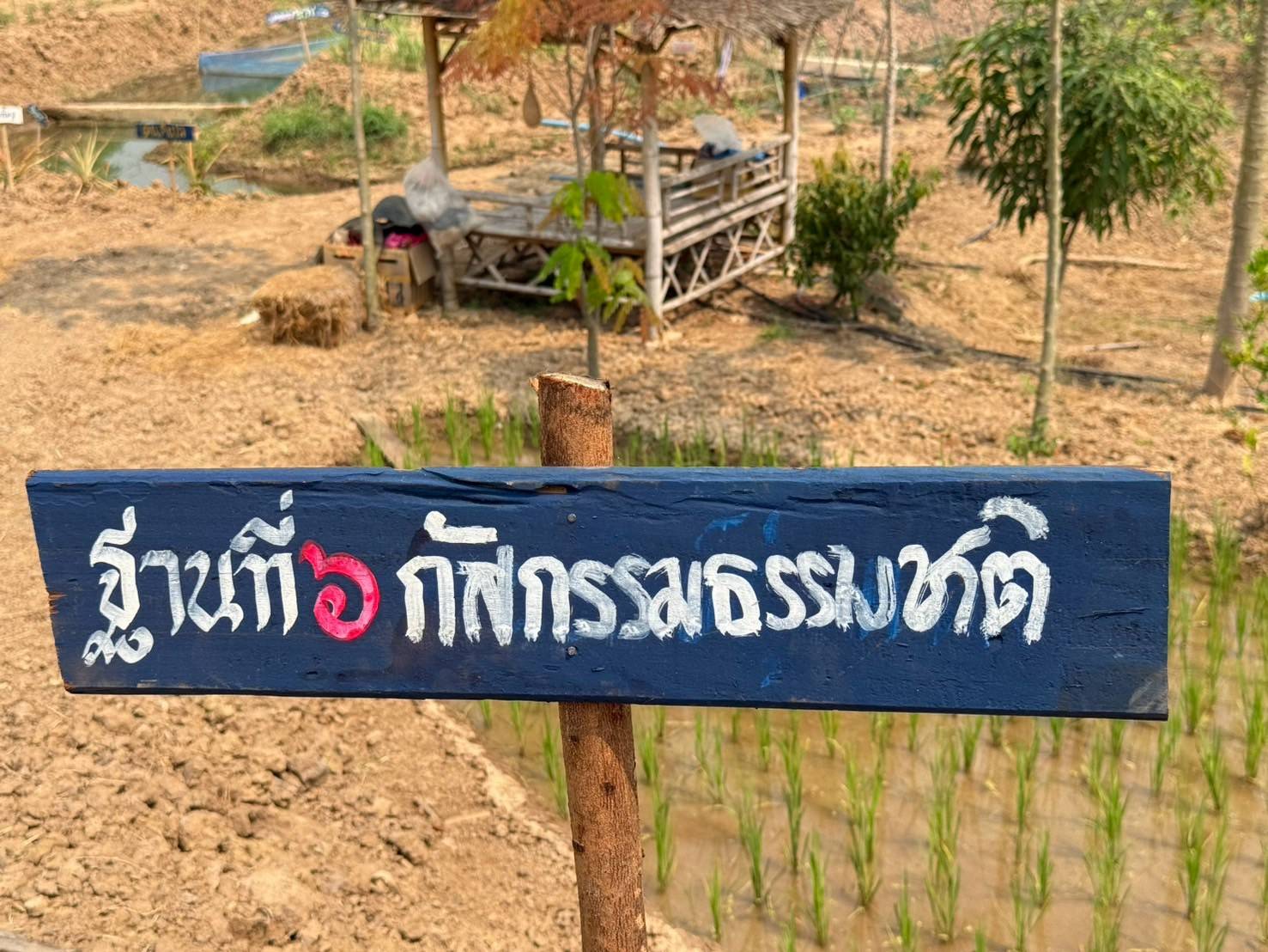 กิจกรรม ผู้นำอาสาพัฒนาชุมชนสัญจร จังหวัดสุโขทัย ภายใต้แนวคิด “อช.รวมใจ ขจัดภัยแก้จน พัฒนาชุมชนอย่างพอเพียง”