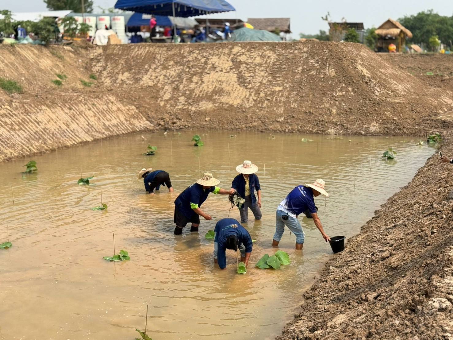 กิจกรรม ผู้นำอาสาพัฒนาชุมชนสัญจร จังหวัดสุโขทัย ภายใต้แนวคิด “อช.รวมใจ ขจัดภัยแก้จน พัฒนาชุมชนอย่างพอเพียง”