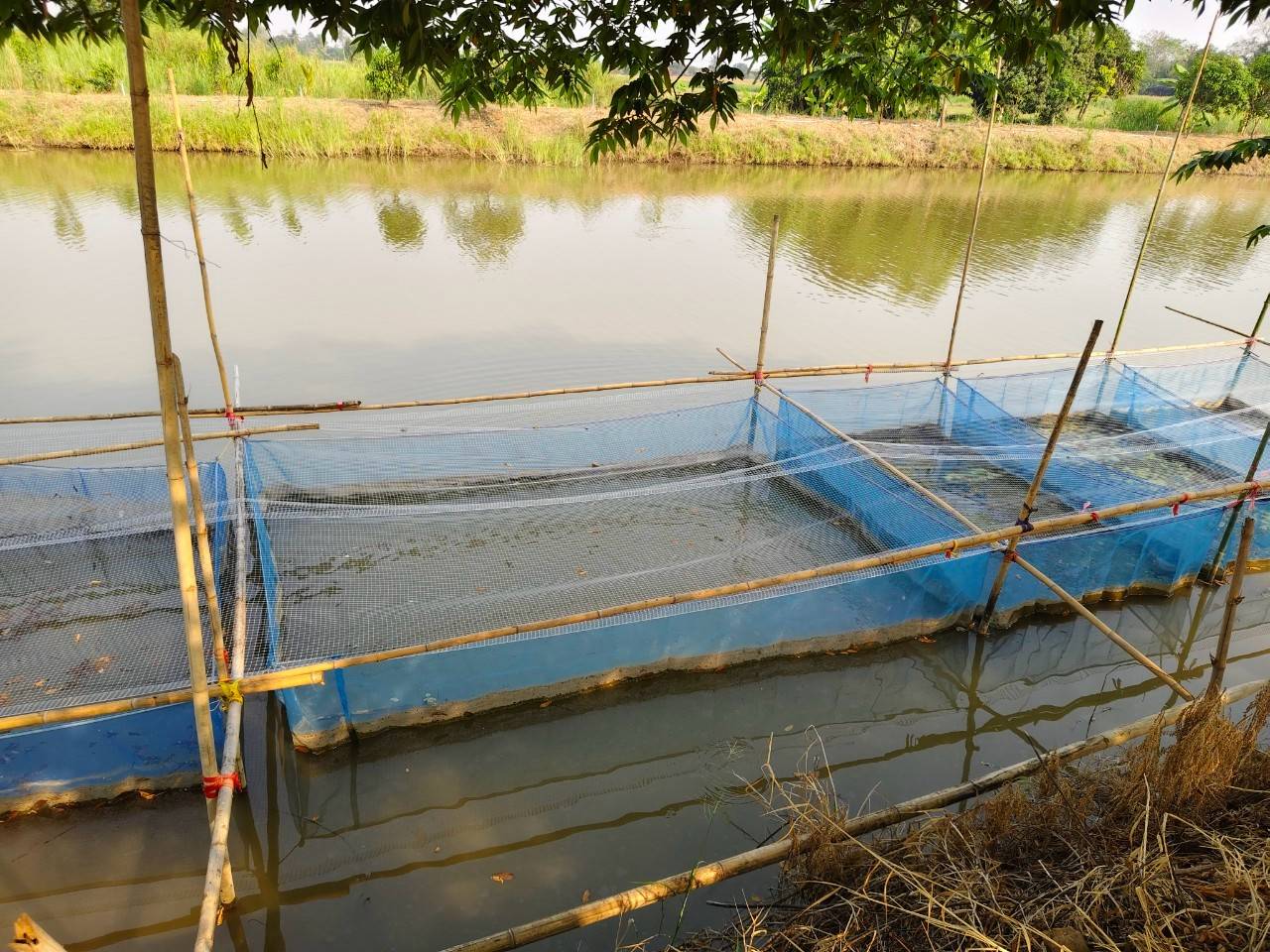 กิจกรรม ผู้นำอาสาพัฒนาชุมชนสัญจร จังหวัดสุโขทัย ภายใต้แนวคิด “อช.รวมใจ ขจัดภัยแก้จน พัฒนาชุมชนอย่างพอเพียง”