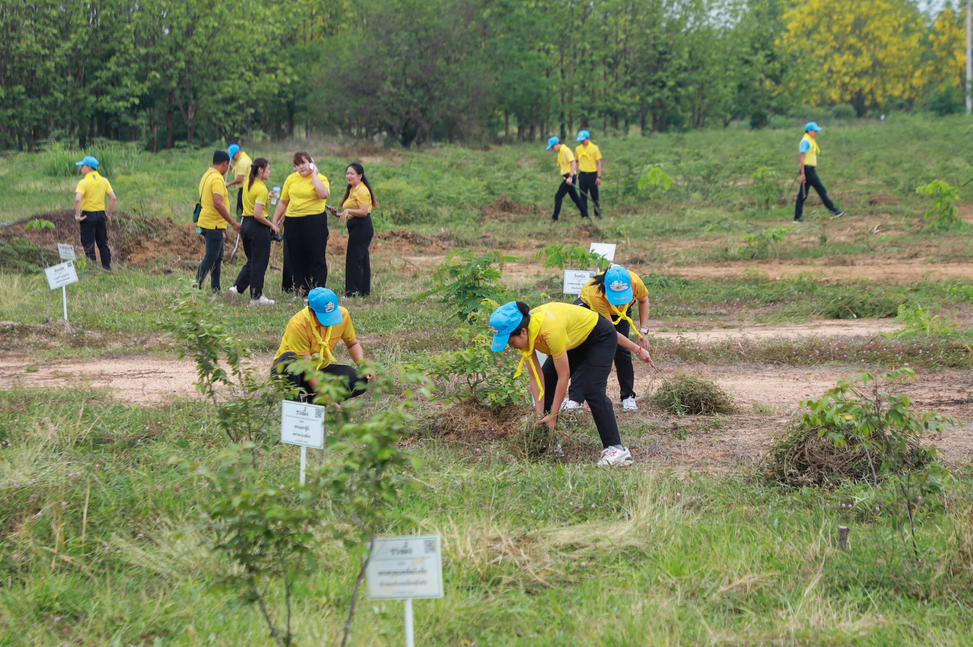 จังหวัดสุโขทัยจัดกิจกรรมจิตอาสาเนื่องในวันคล้ายวันประสูติสมเด็จพระเจ้าลูกยาเธอ เจ้าฟ้าทีปังกรรัศมีโชติ มหาวชิโรตตมางกูร สิริวิบูลยราชกุมาร
