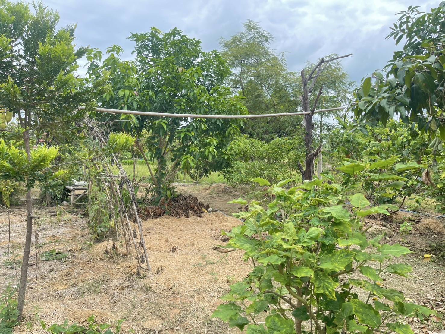 พัฒนาชุมชนสุโขทัยลงพื้นที่คัดสรรกิจกรรมพัฒนาชุมชนดีเด่นระดับจังหวัด ประจำปี 2568