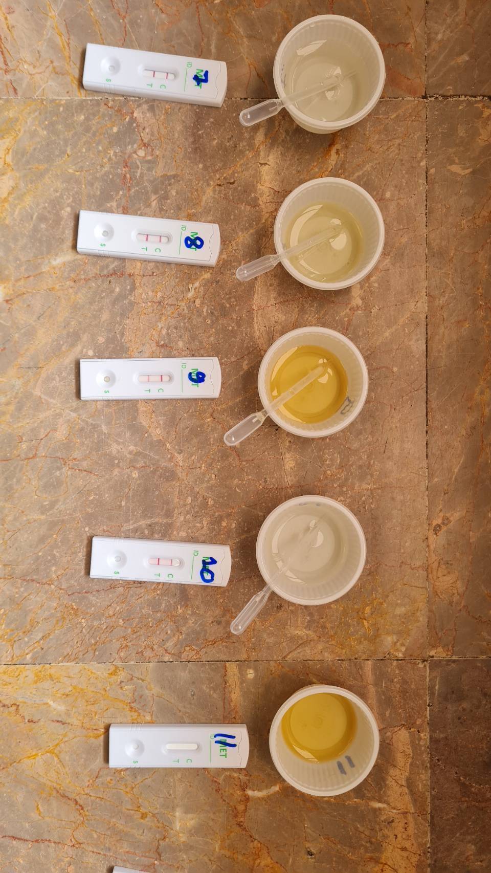 💥พช.สุโขทัย เข้าร่วมโครงการมหาดไทยสีขาว สร้างพื้นที่ปลอดภัย หยุดยั้งยาเสพติด Safe Zone No Drugs💥